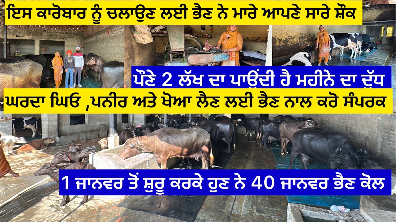 ਇਸ ਕਾਰੋਬਾਰ ਨੂੰ ਚਲਾਉਣ ਲਈ ਭੈਣ ਨੇ ਮਾਰੇ ਆਪਣੇ ਸਾਰੇ ਸ਼ੌਕ ਪੌਣੇ 2 ਲੱਖ ਦਾ ਪਾਉਂਦੀ ਹੈ ਮਹੀਨੇ ਦਾ ਦੁੱਧ ਘਰਦਾ ਦੇਸੀ….