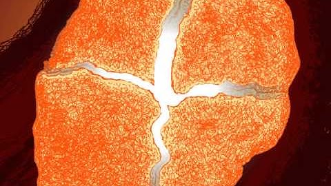 30 Second Test Animation using Toon Boom Harmony - Second pass of original concept