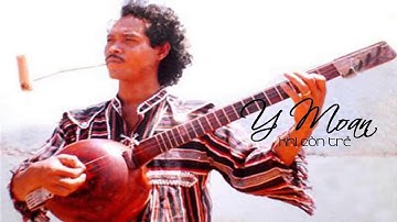 Giấc mơ Chapi   NS Trần Tiến và câu chuyện của Y Moan