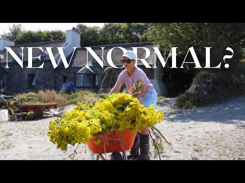 Thumbnail for Smarter or harder?  Irish summer on the homestead