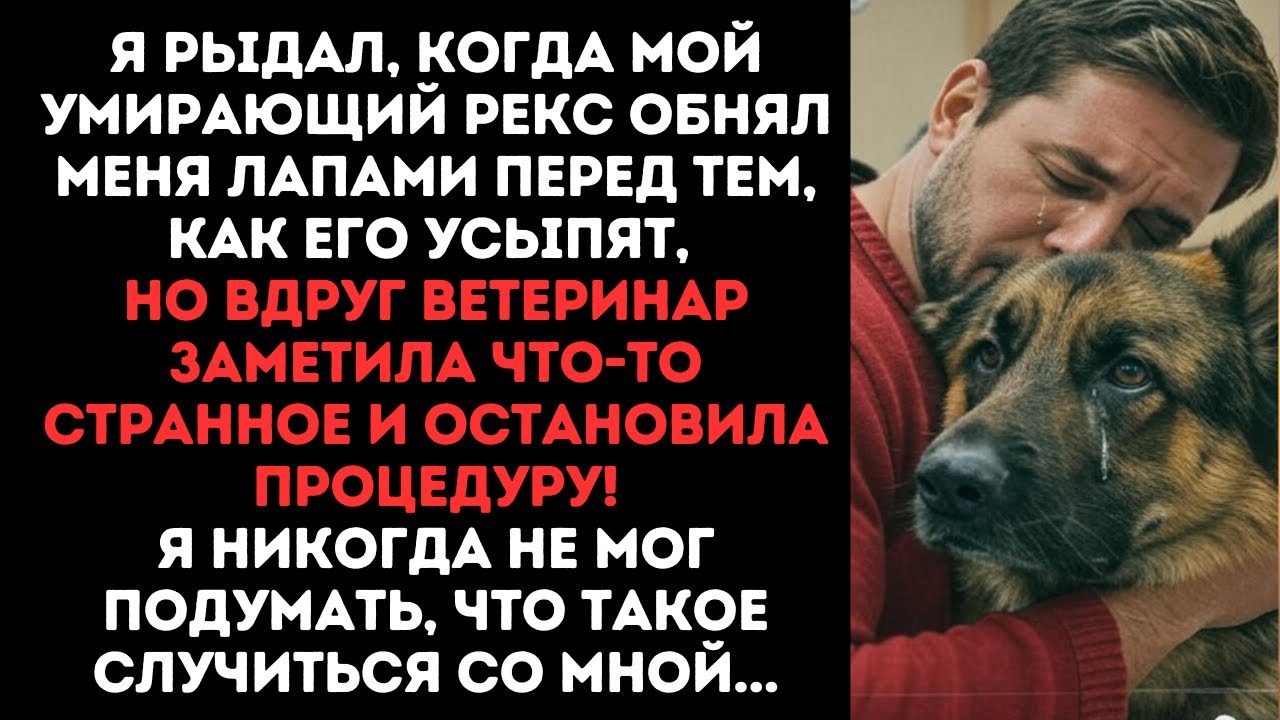 Я рыдал, когда мой умирающий Рекс обнял меня лапами перед тем, как его усыпят, но вдруг ветеринар