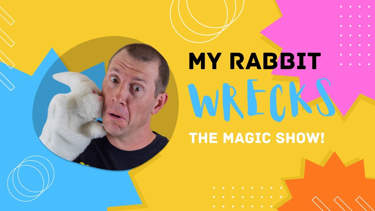Marvin's Marvelous Adventures: A Magical Rabbit Puppet Wrecks a Magic ...