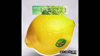 Fools Garden - Probably (Record Store Day 10-inch Shaped Single) - Vinyl recording HD
