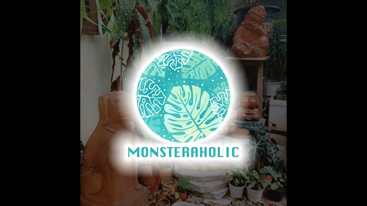 Garden Answer: Oemleria Cerasiformis