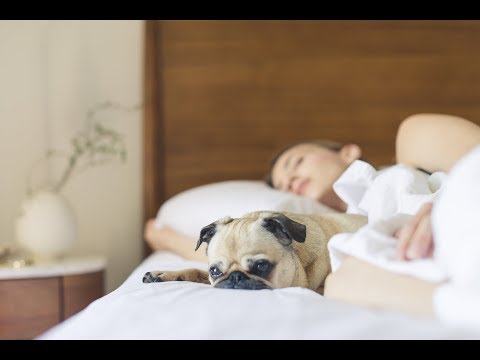 💖 24/7 ..Music for Quarantine - Best Relaxing Jazz Piano Music-Romantic Jazz