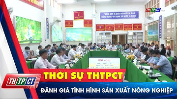 Đánh giá tình hình sản xuất nông nghiệp | Cần Thơ TV