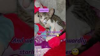 #loonatricks #cat #funnycat #catshorts