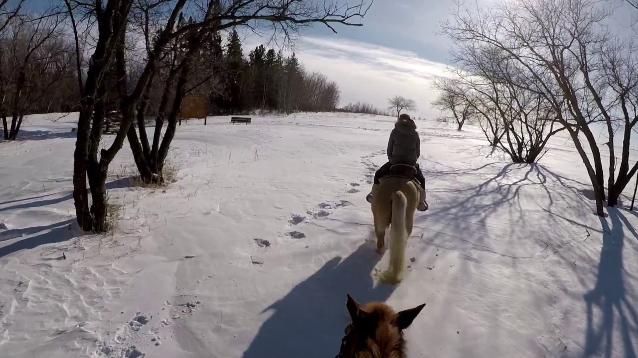 more winter trail riding - YouTube