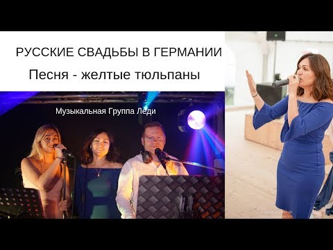 Музыкальная Группа Леди Песня - желтые тюльпаны