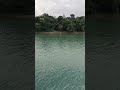 #লালাখাল #সিলেট #ঘুরাঘুরি #shorts #shortvideo #mizanur_rahman_azhari