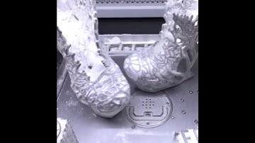 Isto é Impressão 3D do Futuro dos Calçados!