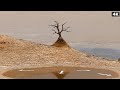 Mars Perseverance Rover Latest Images SOL 1576 | Mars Latest Video | Mars In 4K | Mars 4K Video