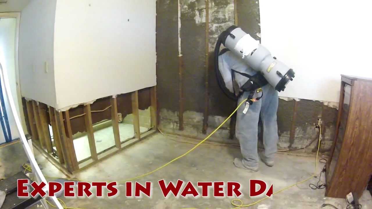 Clean Water Damage with Water Removal Equipment and the Expert in Mold