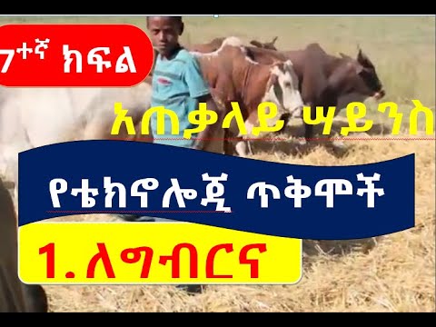 7ተኛ ክፍል አጠቃላይ ሳይንስ የቴክኖሎጂ ጥቅሞች ምራፍ 1 ክፍል 3 Grade 7 G Science Use Of Technology Unit 1 Part 3