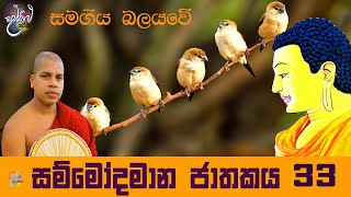 Jathaka katha |sammodamana jathakaya | සම්මෝදමාන ජතකය  by udalamaththe nandarathana thero damsilu tv