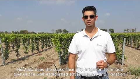 Rivulis SDI Installation in Italy