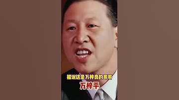 习近平AI换脸视频中最无违和感的一个 - 万梓平