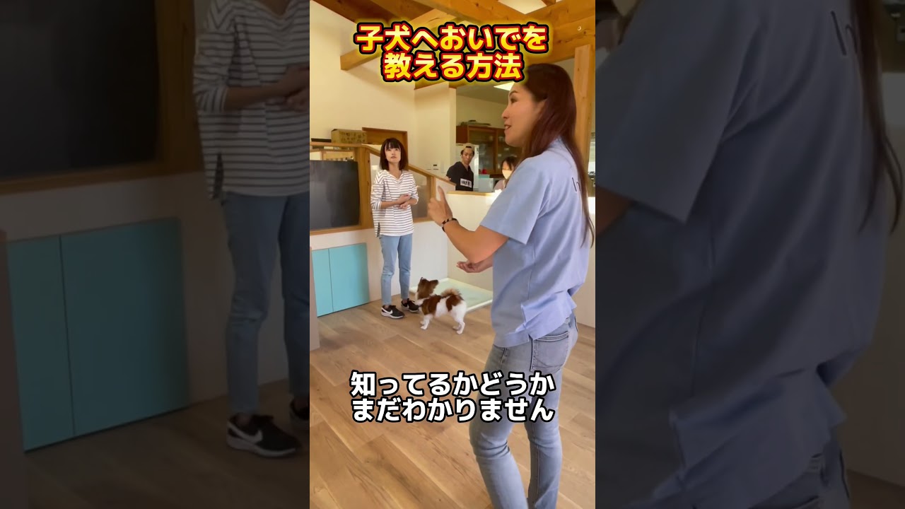 How to teach a puppy to come by smell! #DogTrainer