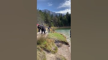 Proaim Wave-9 40ft Camera Crane Base Package for Video Film Production - Capture Panoramic Shots