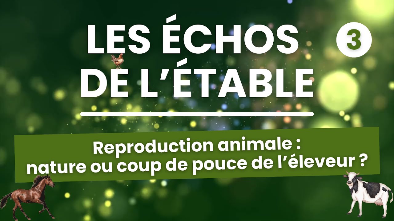 Les Échos de l'Étable - Reproduction animale : nature ou coup de pouce de l'éleveur ?