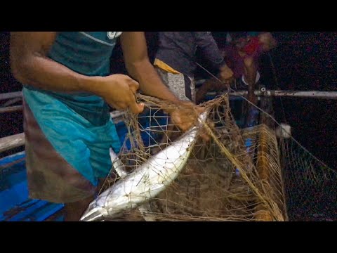 Pamo - Net fishing at night  Di inaasahan may nahuling bawal