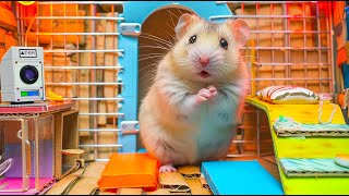Mind Battle Hamster Escape from the Giant Snake Maze with Cleverness 🐹 Hamster Maze
