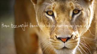 lizz wright - open your eyes you can fly