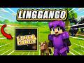 How to Make a Linggango Server | Modded Minecraft Tutorial