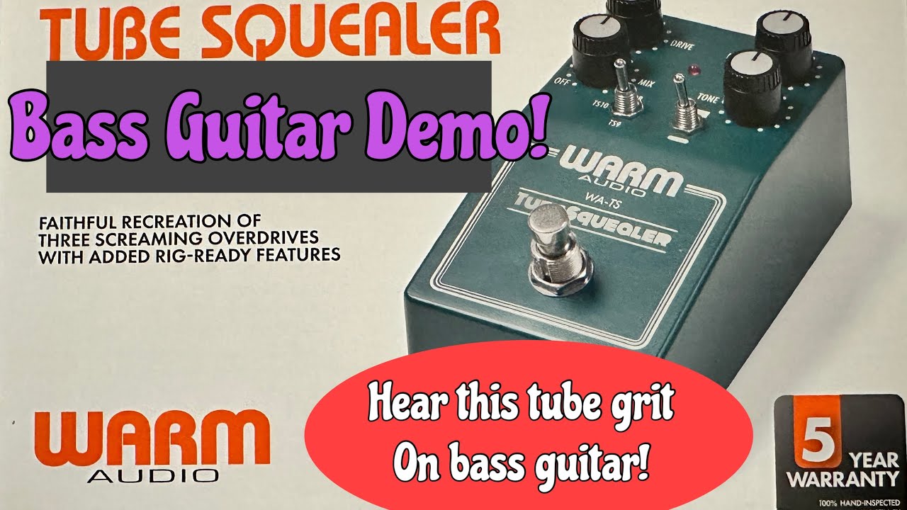 Warm Audio Tube Squealer Pedal on Bass Guitar. great for adding a