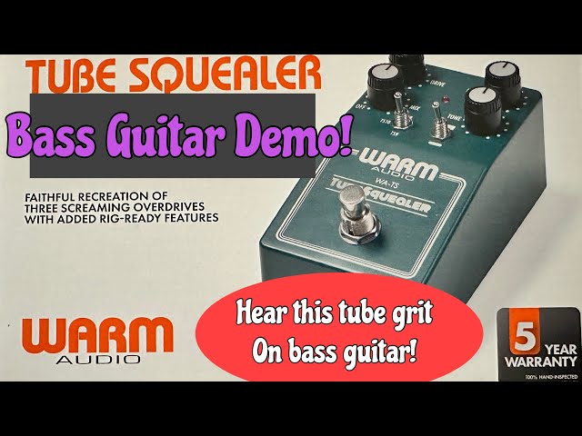 Warm Audio Tube Squealer Pedal on Bass Guitar. great for adding a