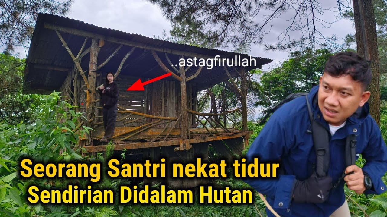 24 JAM DI RUMAH POHON SEORANG SANTRI NEKAT TINGGAL SENDIRIAN DI DALAM HUTAN