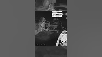 We are really good at BREAKING things | R.E.P.O.