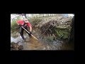 Small beaverdam in Sneed blocking Culvert pipe
