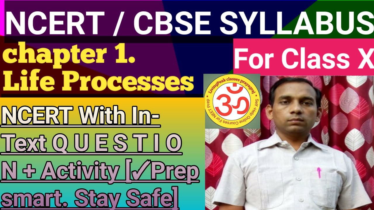 Class 10thNCERT Science cha.6 Life Processes[15]Transport of food