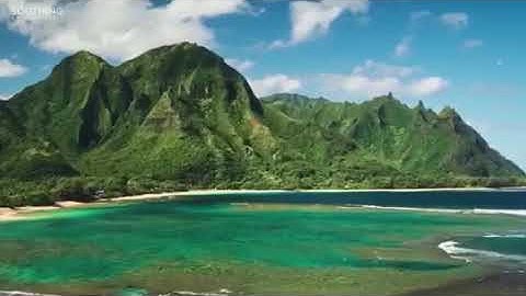 قرآن كريم بصوت القاريء الصغير"احمد سعود" . سبحان من رزقه هذا الصوت