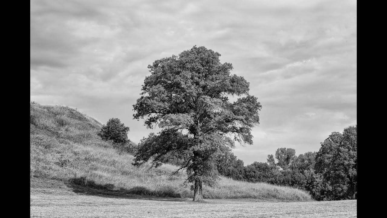 Landscape Photography at Cahokia Native American Mound Site