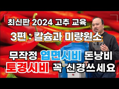 2024최신) 고추 교육 3편 - 고추에 칼슘 엽면시비 시기가 있습니다 필요할때만 하세요!! 미량원소까지 전부 정리해드립니다! 