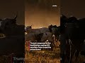 Trump Wants to Import More Argentina Beef