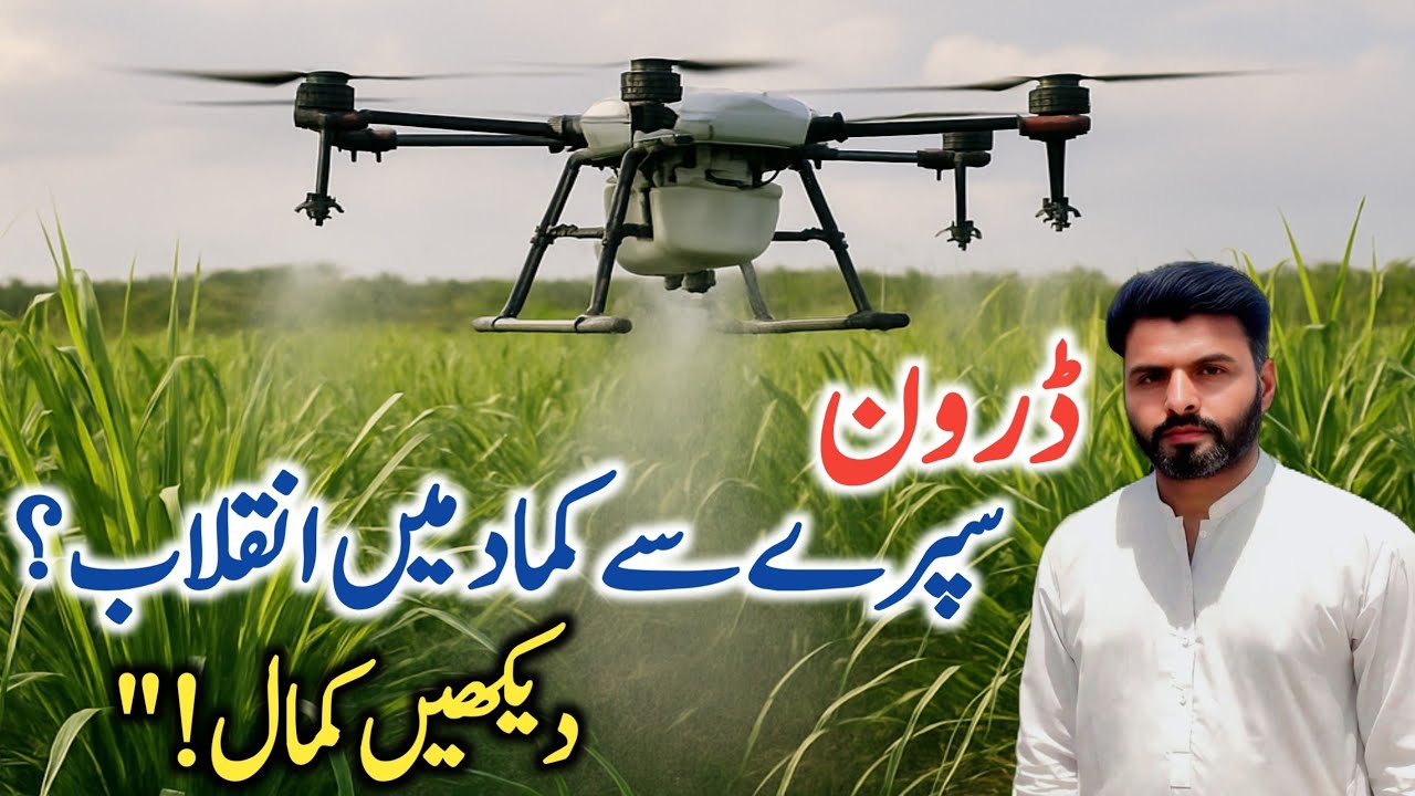 Revolution in Sugarcane Fields with Drone Spray! | Unbelievable Results | Drone Farming Pakistan