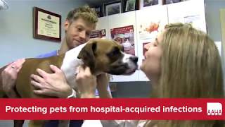 Protecting pets from hospitalacquired infections