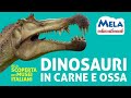 Dinosauri  parco dinosauri in carne e ossa melaeducational