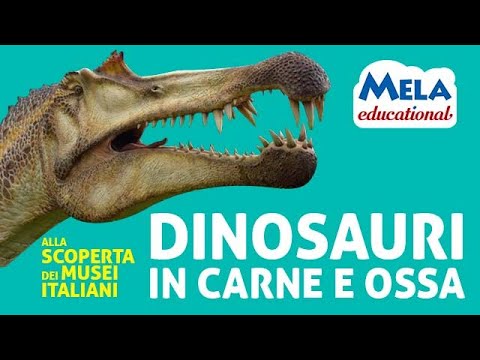 Video: Dinosauri nei musei di Mosca: cosa, dove e quando