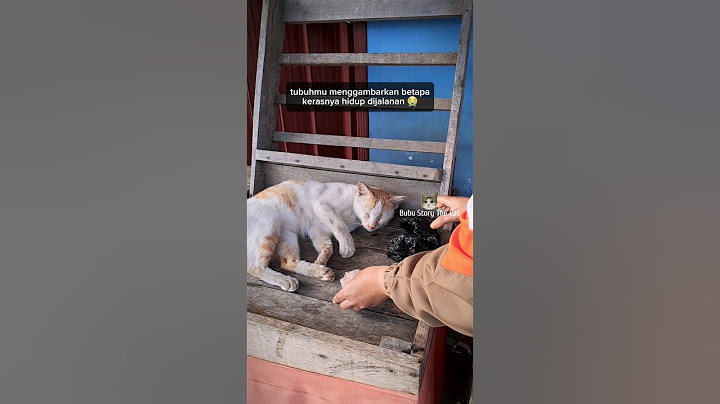 😭 Tubuhmu menggambarkan Betapa Sulitnya Menjadi Kucing Jalanan #catlover #cat#kucing #sad