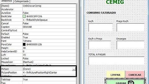 Inserir ícone em botões - VBA