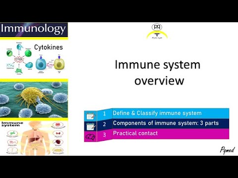 Bài 1. Đại cương hệ miễn dịch (Immune Overview) - youtube