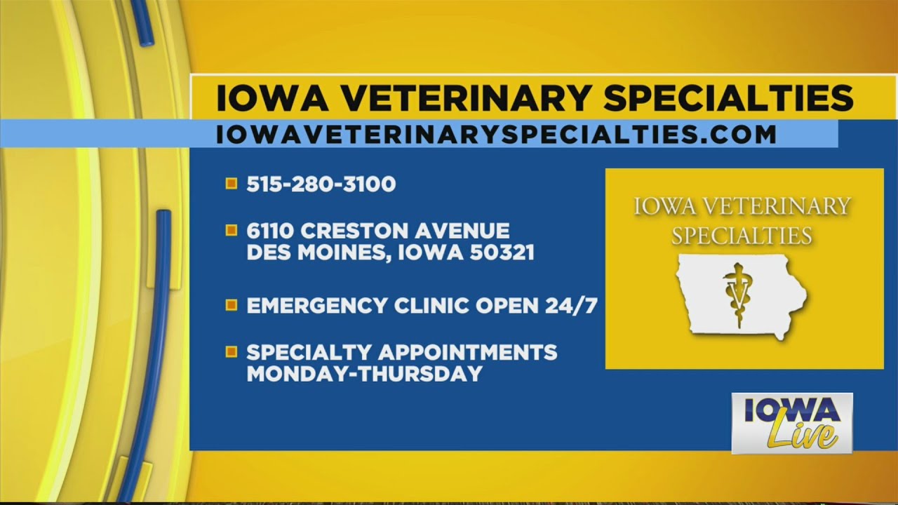 Dr. Greene with Iowa Veterinary Specialties YouTube