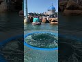 Tokyo: Aquatopia (Disneysea)