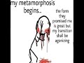 My Metamorphosis Begins