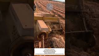 Collecting and Baling Straw with a Hay Baler Modern Agricultural Technology for Efficient Harvesting