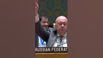 UN Security Council OKs Resolution for Humanitarian Pauses in Gaza